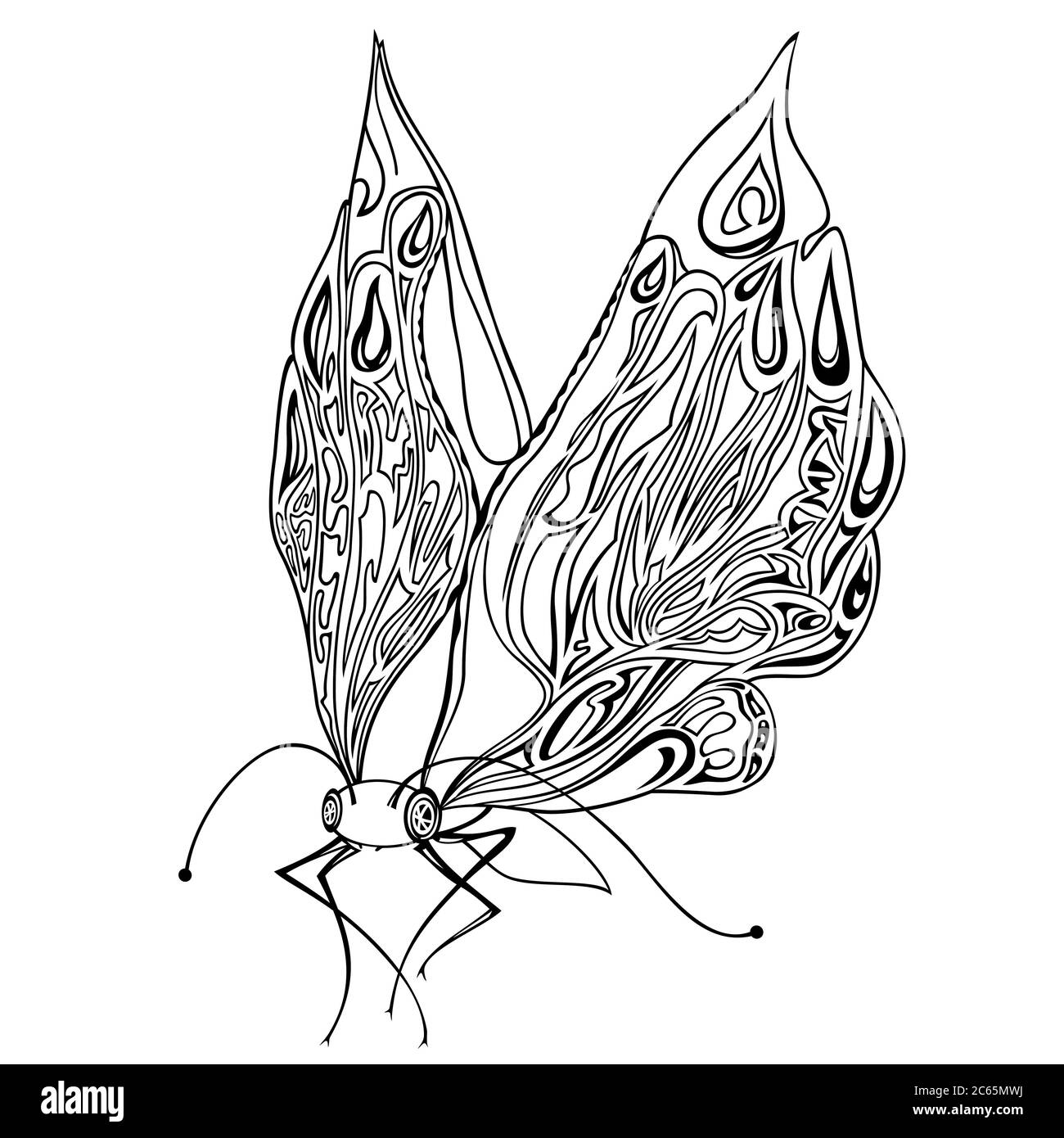 Vector decorative insect butterfly Stock Vector Image & Art - Alamy