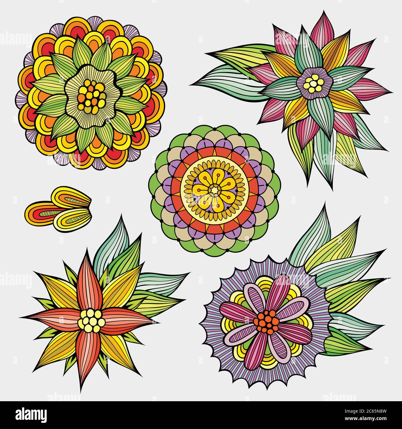 Set of hand drawn vector floral elements Stock Vector Image & Art - Alamy