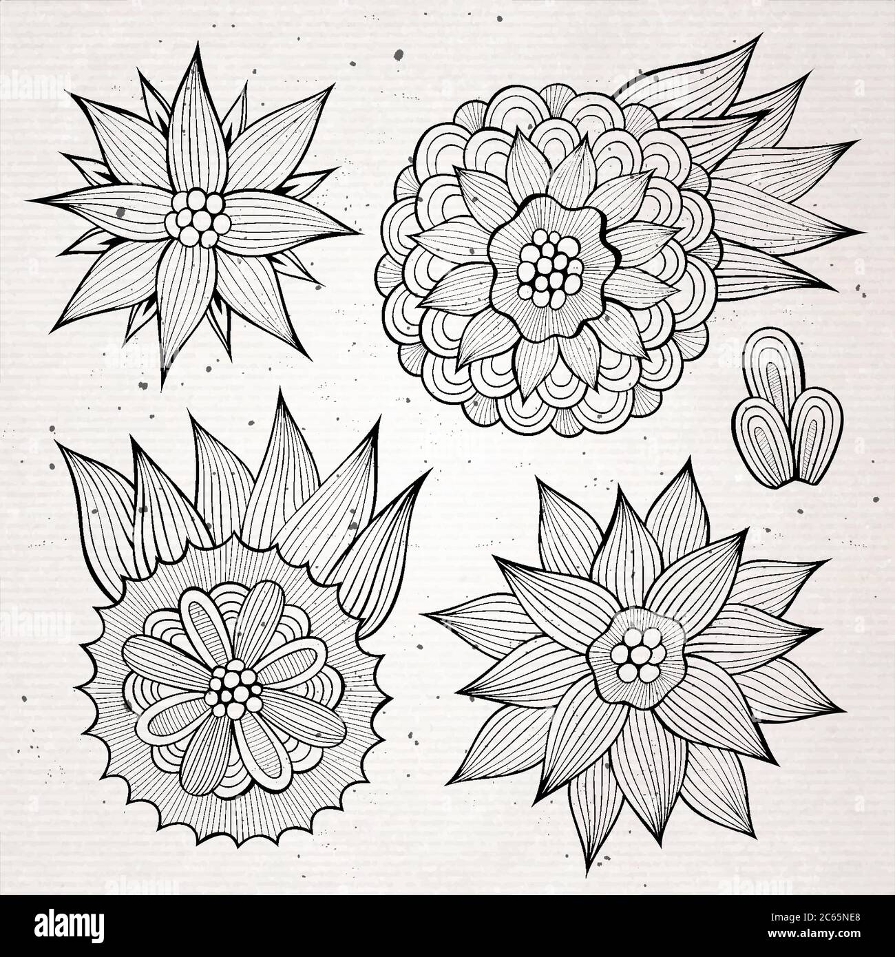 Set of hand drawn vector floral elements Stock Vector Image & Art - Alamy
