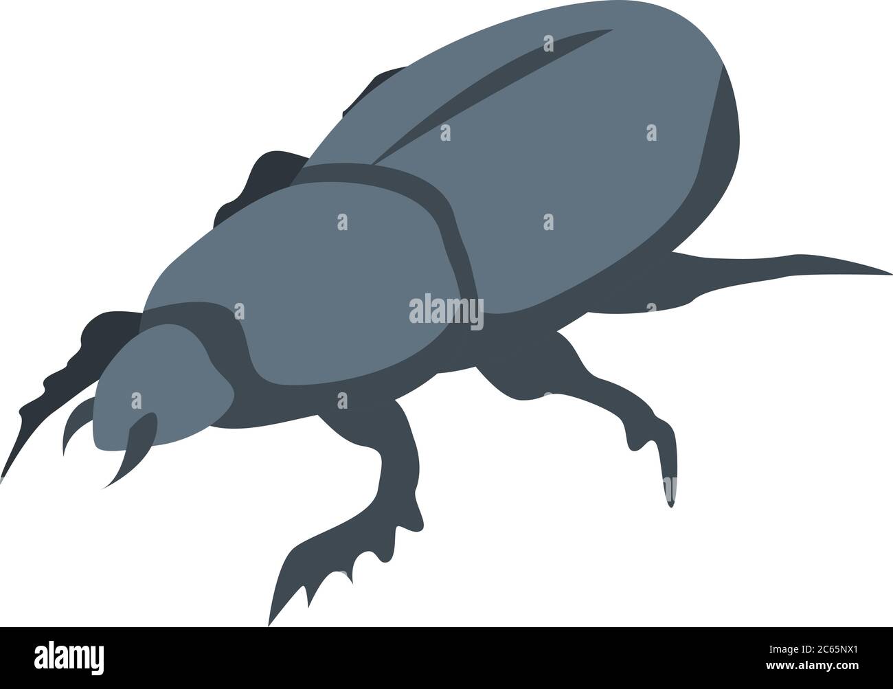 Wild scarab icon, isometric style Stock Vector