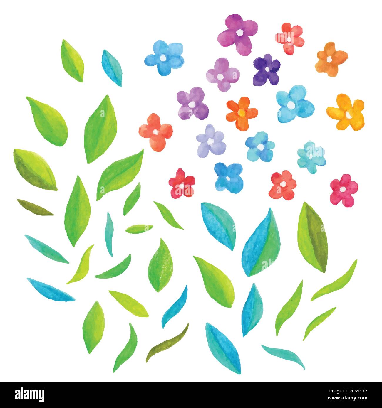 Watercolor vector floral elements Stock Vector Image & Art - Alamy