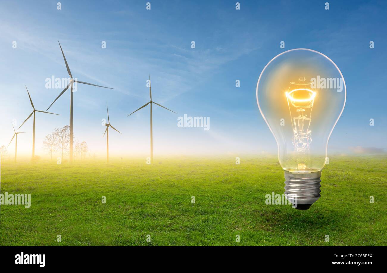 Light bulb with backlight on the background of blue sky and green field with turbines.Green energy and nature concept. Stock Photo