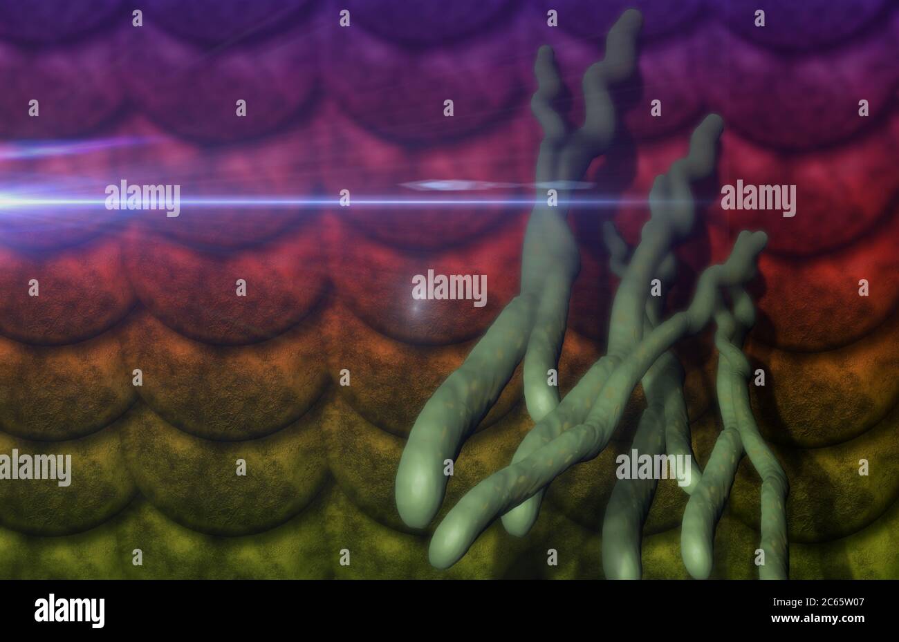 Virus and bacterium background - High Quality 3D Render Stock Photo - Alamy
