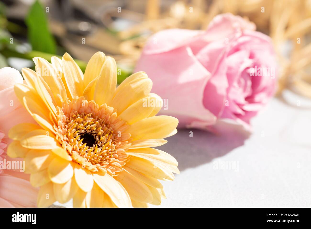 Cut Flower Close Up with Pink Rose and Daisy Stock Photo