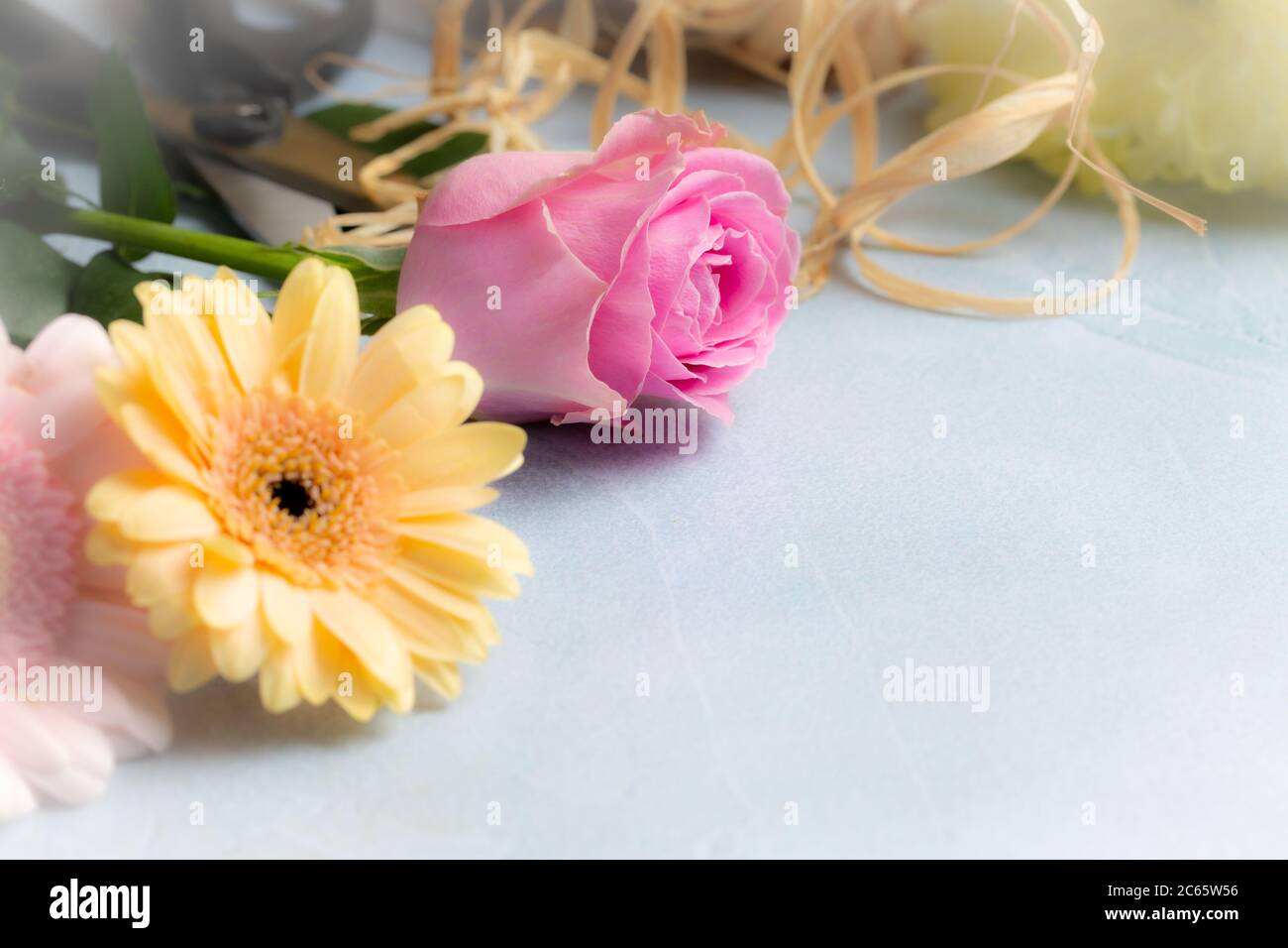 Cut Flower Close Up with Pink Rose and Daisy Stock Photo