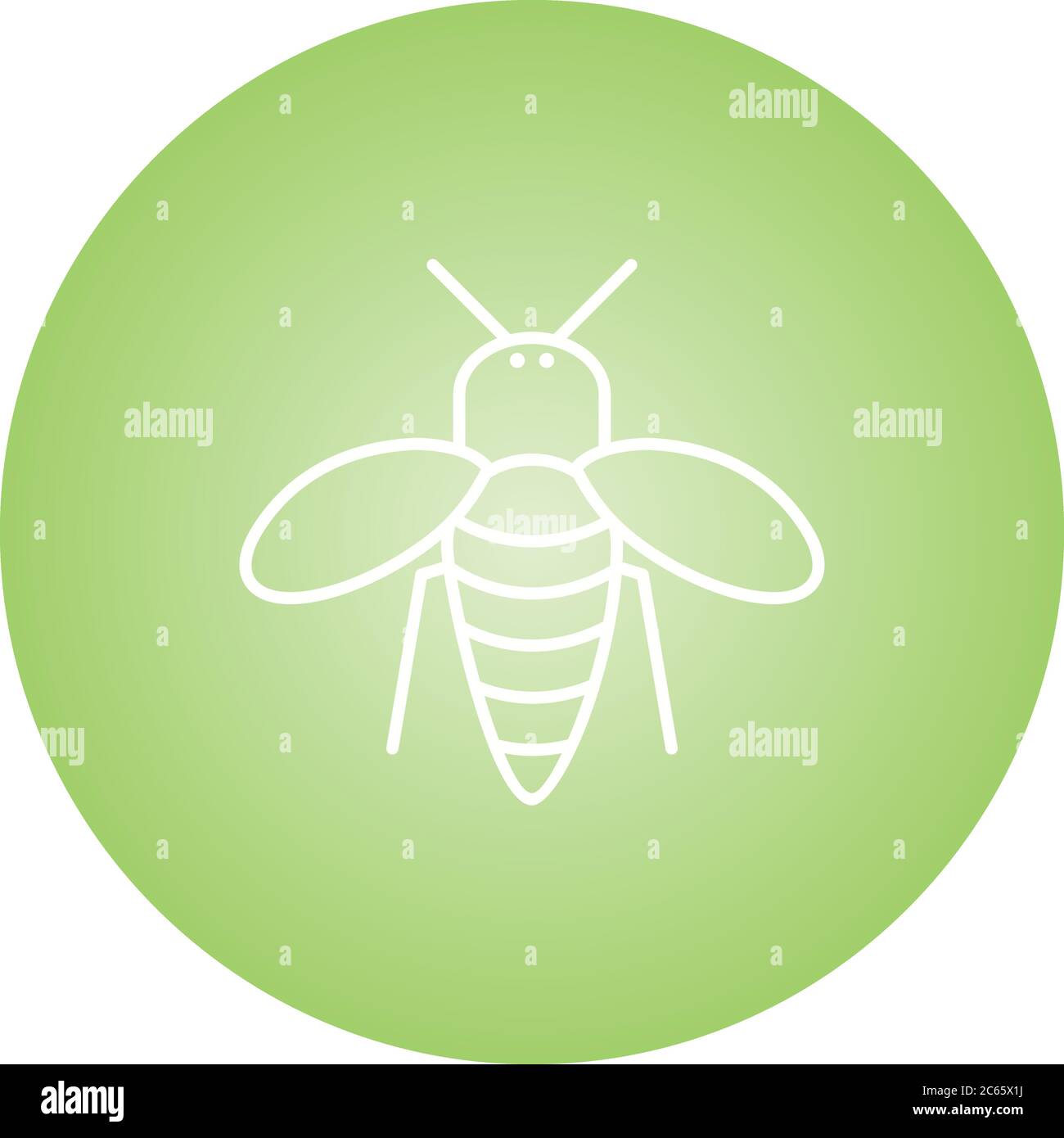 Unique Honey Bee Vector Line Icon Stock Vector Image & Art - Alamy