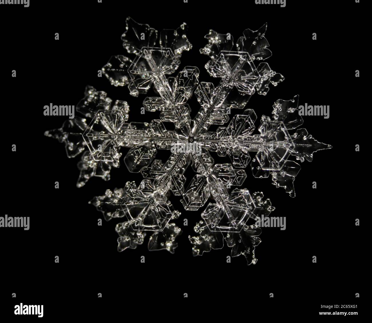 Snow Crystal, Snowflake magnified under microscope, Lillehammer, Norway Stock Photo