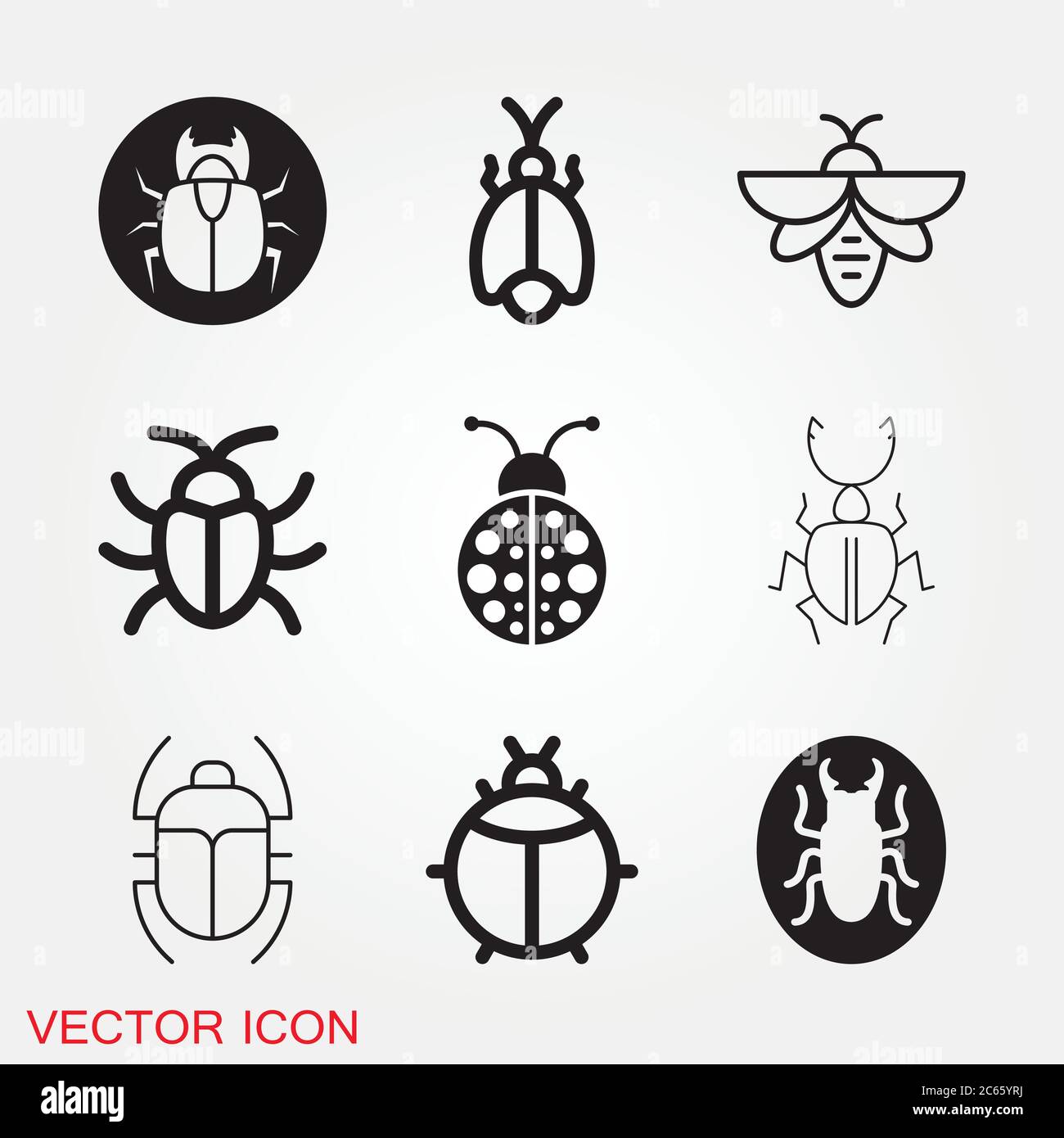 Beetle icon. Insect design, insect icons vector Stock Vector Image ...