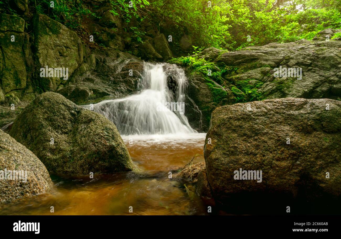 Beautiful waterfall in jungle. Waterfall in tropical forest with green