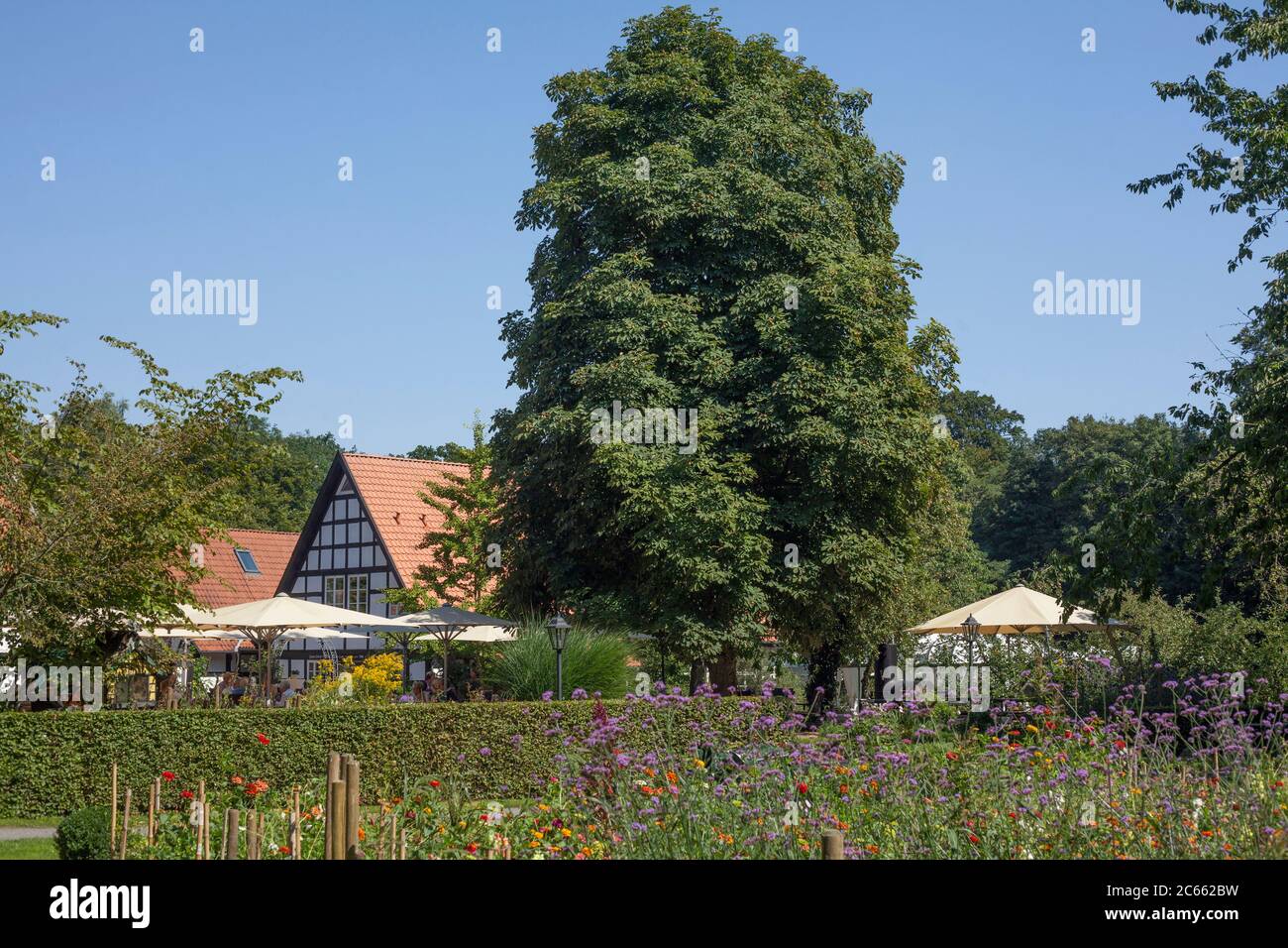 Popular restaurant destination, half-timbered house with farm garden at Heiligenberg, Bruchhausen-Vilsen, Lower Saxony, Germany, Europe Stock Photo