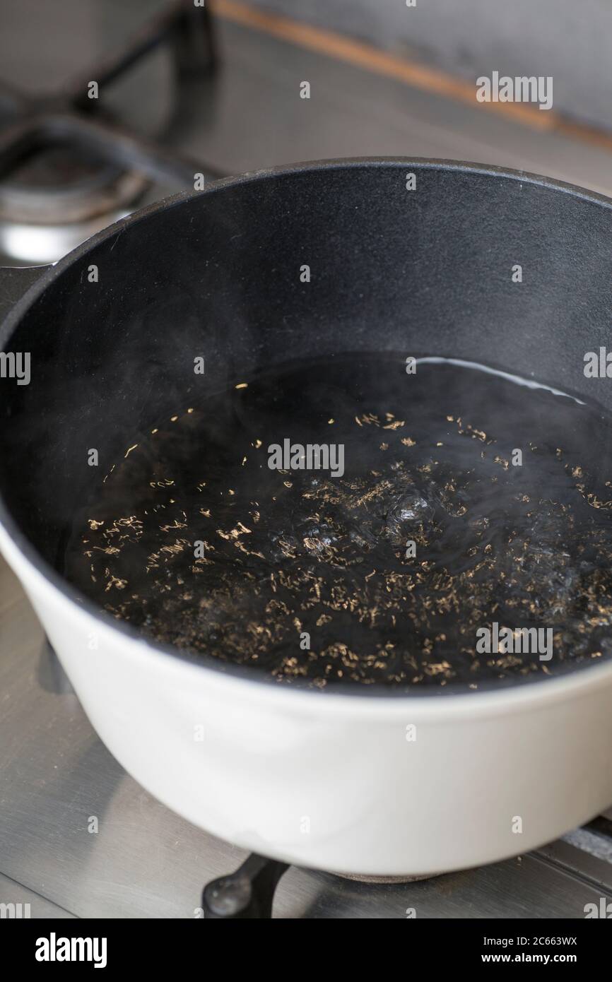 Make your own Ayurveda drink: Let water boil Stock Photo