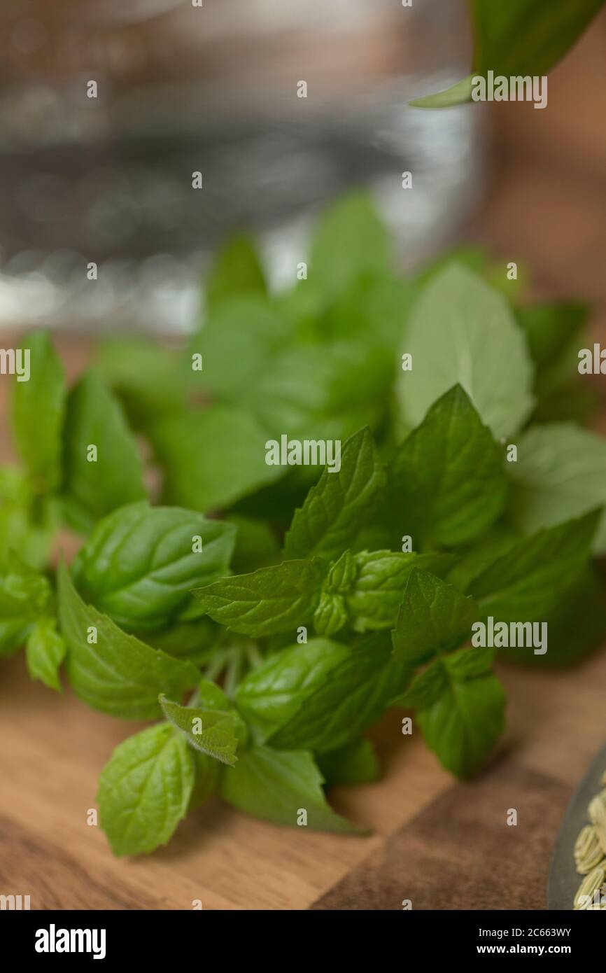 Make your own Ayurveda drink: Ingredients, mint leaves Stock Photo