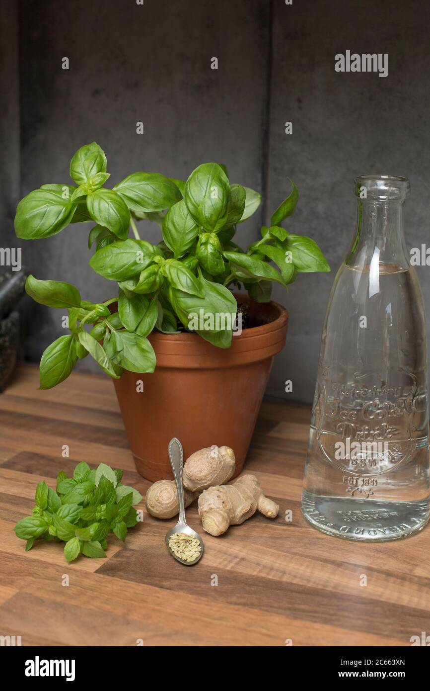 Make your own Ayurveda drink: Ingredients Stock Photo