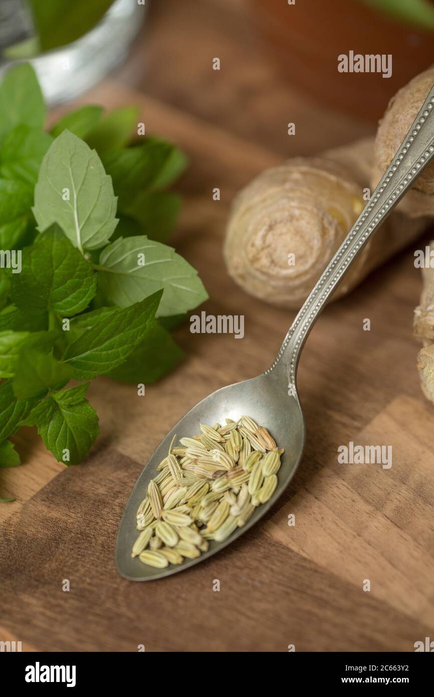 Make your own Ayurveda drink: Ingredients, spoon, fennel seeds Stock Photo