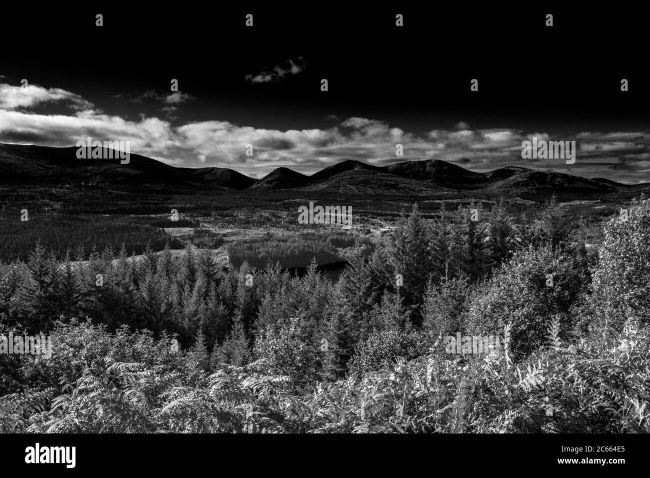 Scottish kingdom Black and White Stock Photos & Images - Alamy