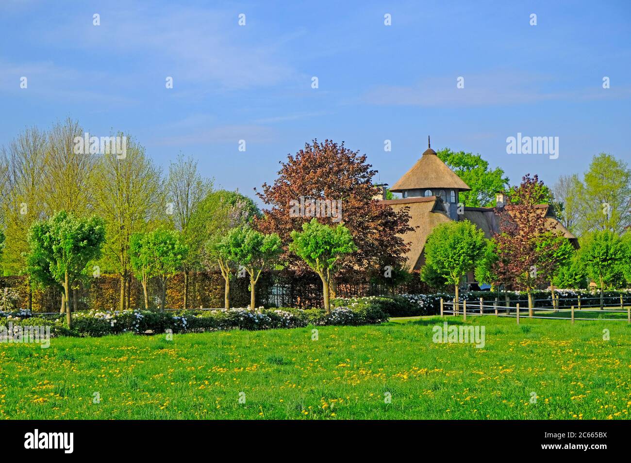 Germany, Lower Saxony, Wagenfeld-Ströhen, Ströhen, village, housing estate, estate, residential estate Stock Photo