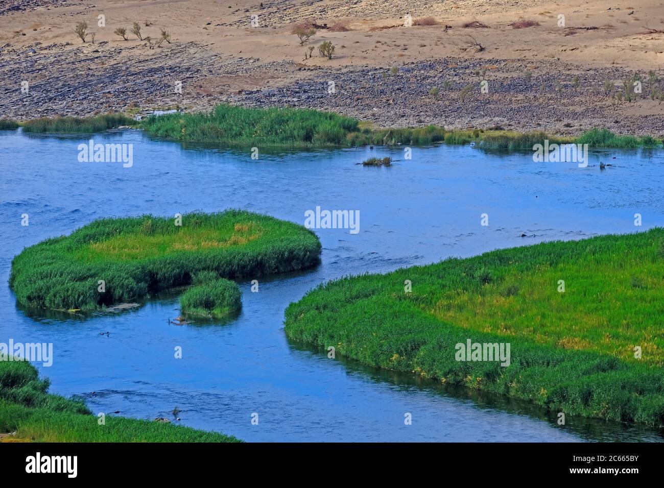View from a rock onto the reedy riverbed of the border river Oranje between Namibia and South Africa. Stock Photo