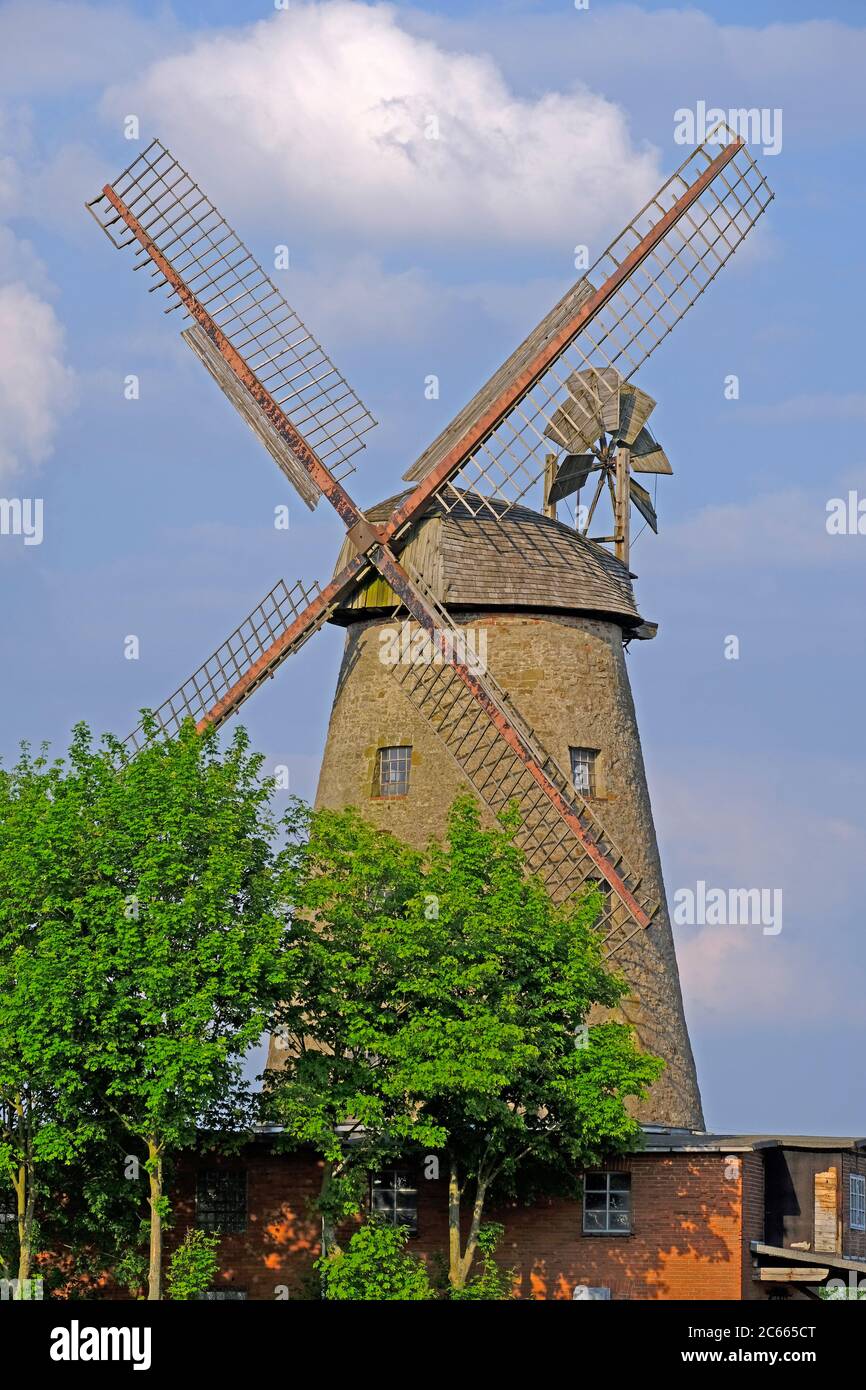 Germany, North Rhine-Westphalia, Westfälische Mühlenstraße, Petershagen, windmill, pott mill Stock Photo