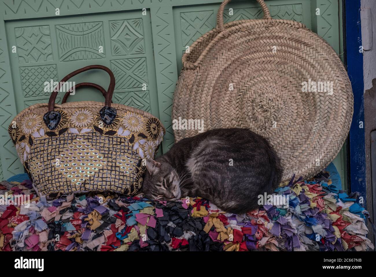 Cat sleeps between bast bags Stock Photo
