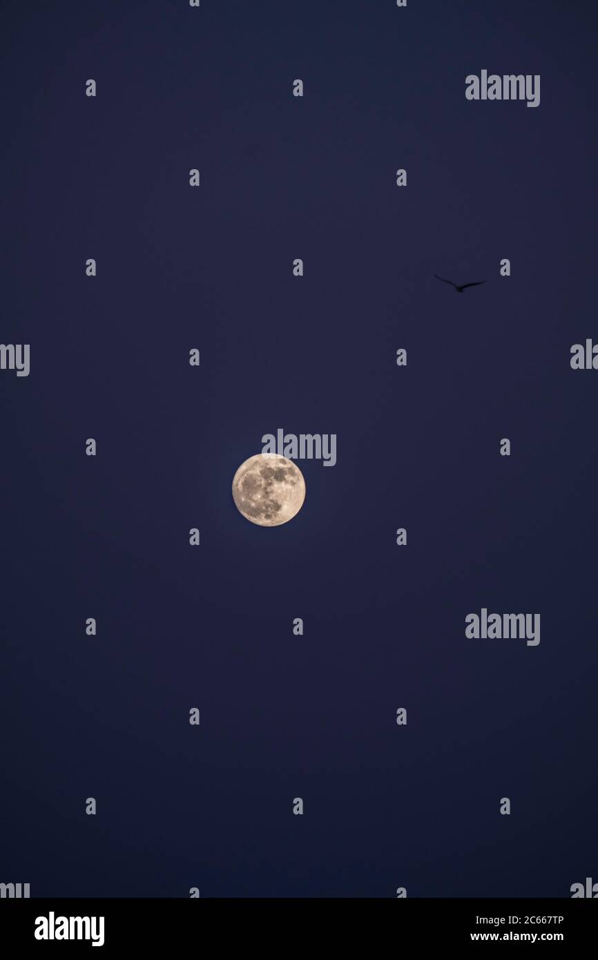 Bright full moon in the night sky Stock Photo - Alamy