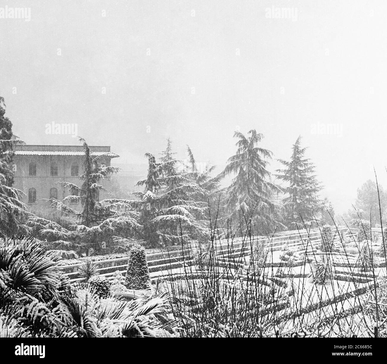 Vatican City The snowfall of February 2, 1956 in the Vatican during the pontificate of Pius XII - Vatican Garden Stock Photo
