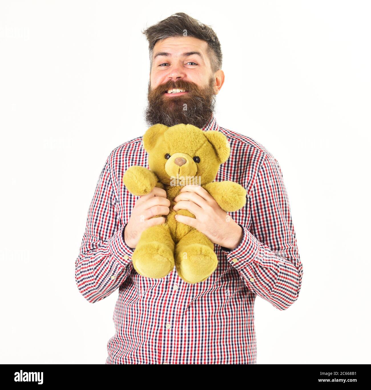 teddy bear with beard