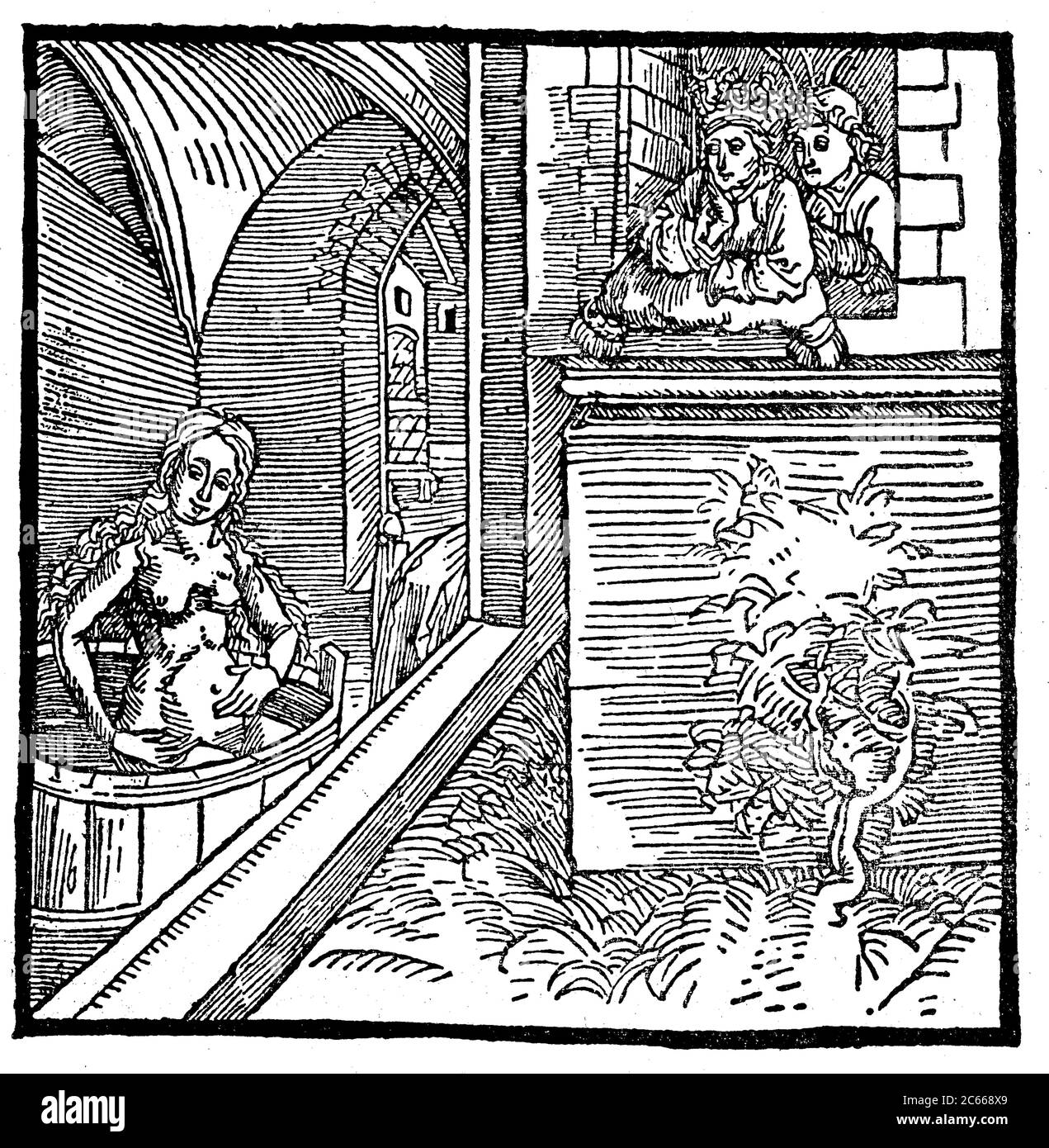 David and Bathsheba, the mother of King Solomon, from the Knights of Turn, 1493  /  David und Bathseba, die Mutter König Salomos, aus dem Ritter von Turn, 1493, Historisch, historical, digital improved reproduction of an original from the 19th century / digitale Reproduktion einer Originalvorlage aus dem 19. Jahrhundert Stock Photo