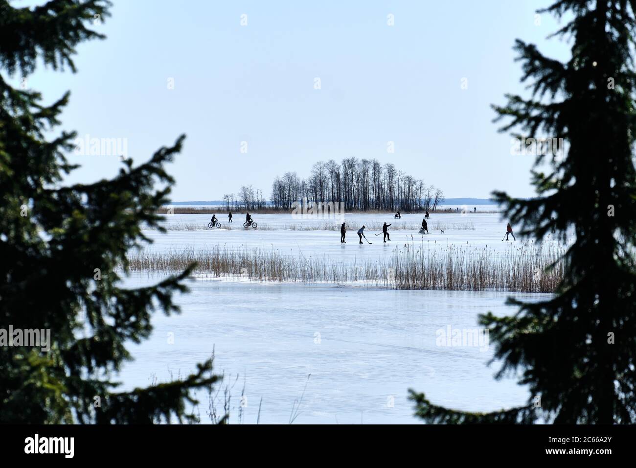 Weekend on the ice-covered lake in Joensuu, Finland. People ride bikes, play hockey, walking on the lake ice. Stock Photo