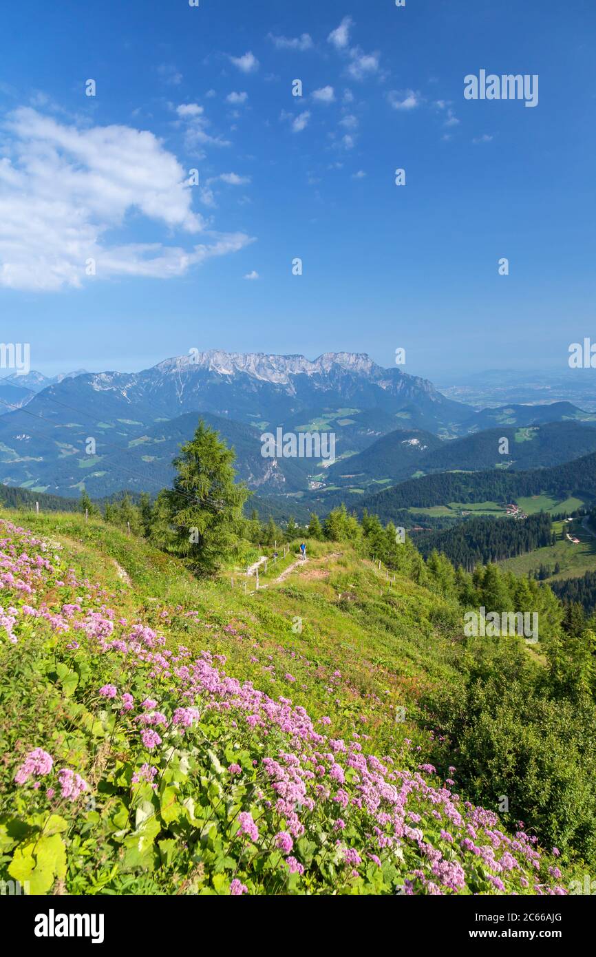 At the Purtschellerhaus on the border behind the Untersberg (1,973 m), near Berchtesgaden, Berchtesgadener Land, Upper Bavaria, Bavaria, Southern Germany, Germany, Europe Stock Photo