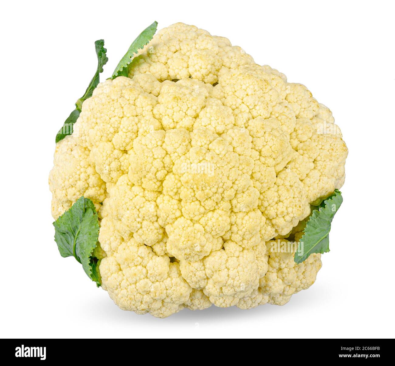 Cauliflower isolated on white background with clipping path Stock Photo