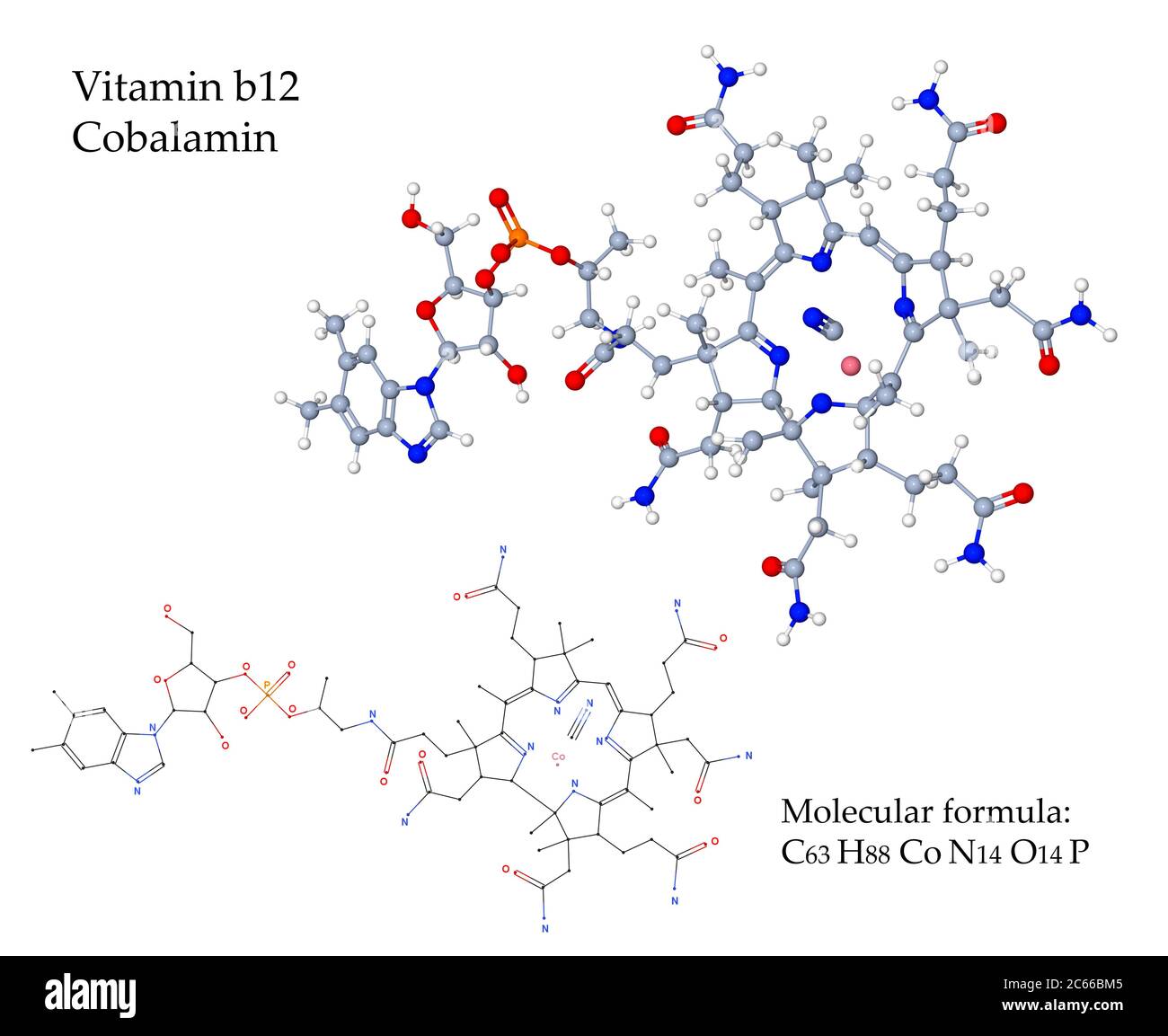 Vitamin B12 Cobalamin is essential for the synthesis of red blood cells by the bone marrow. Food sources are animal products such as meat, milk, eggs Stock Photo