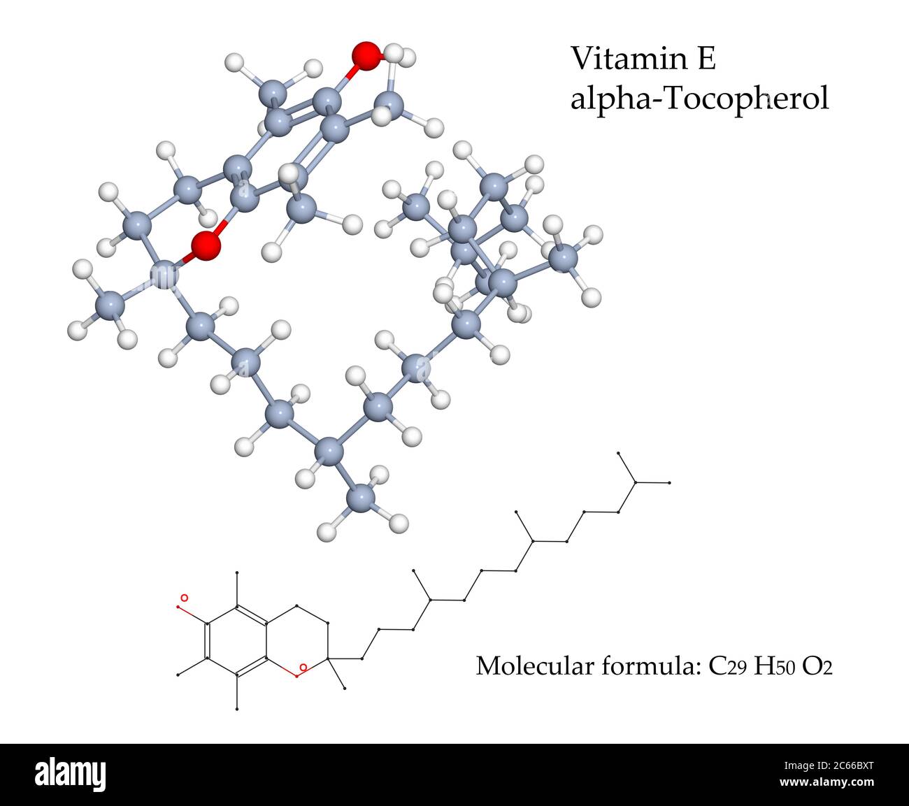 Vitamin E alphaTocopherol molecule. Food sources of this antioxidant