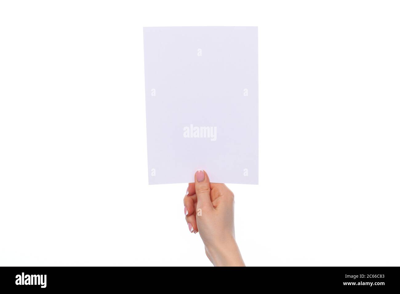 Female Hand Holding Blank White Sheet Of Paper Isolated On White Stock Female hand holding blank white sheet of paper isolated on white stock