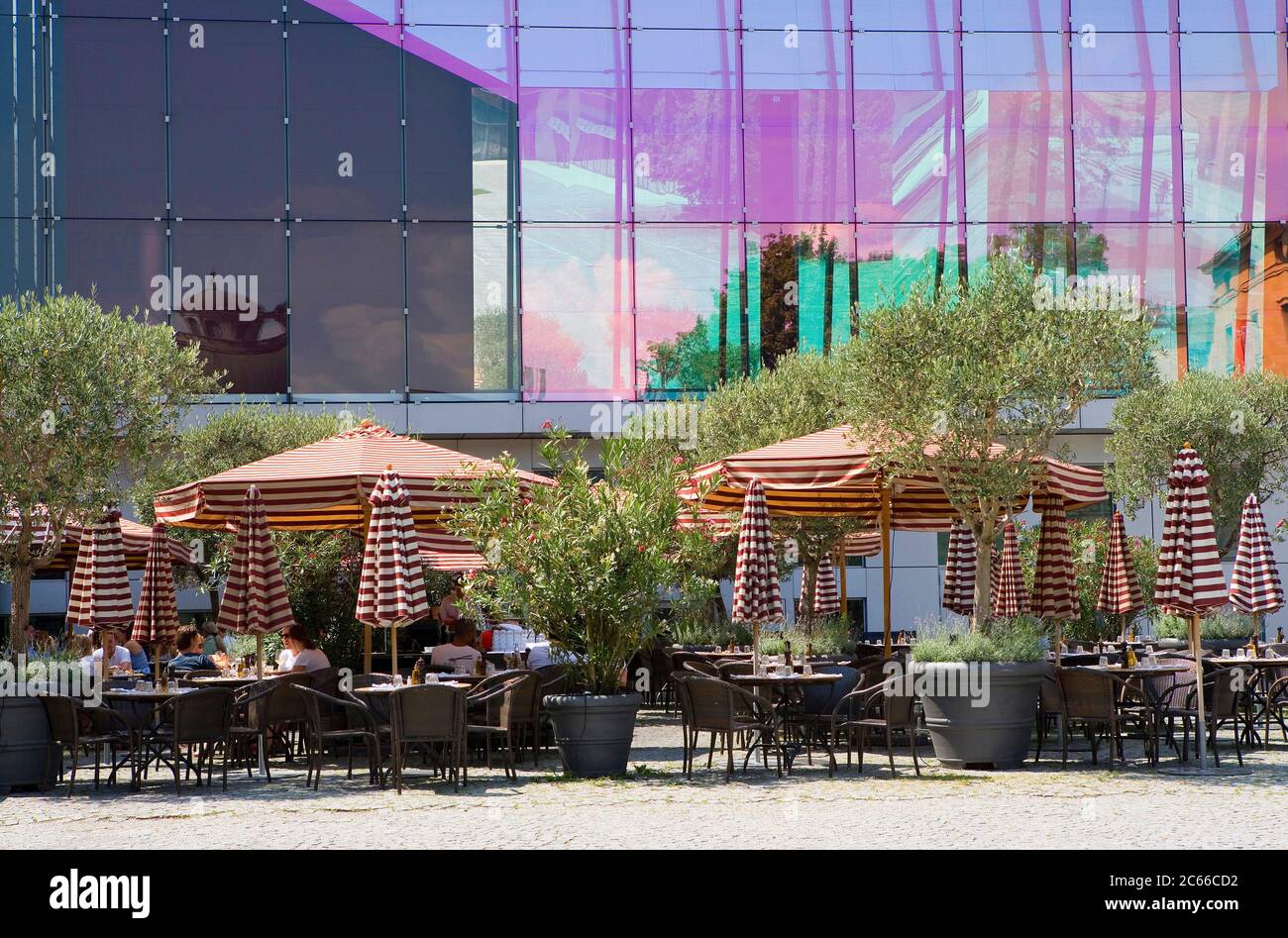 Munich, Café on Marstallplatz Square, near Maximilianstraße, sunshades, olive trees, colourful facade Stock Photo