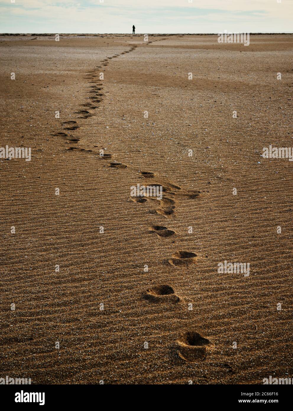 Footsteps through the sand Raudisandur, Rauðasandur beach in the Western Fjords Iceland, Scandinavia, Iceland, Europe Stock Photo