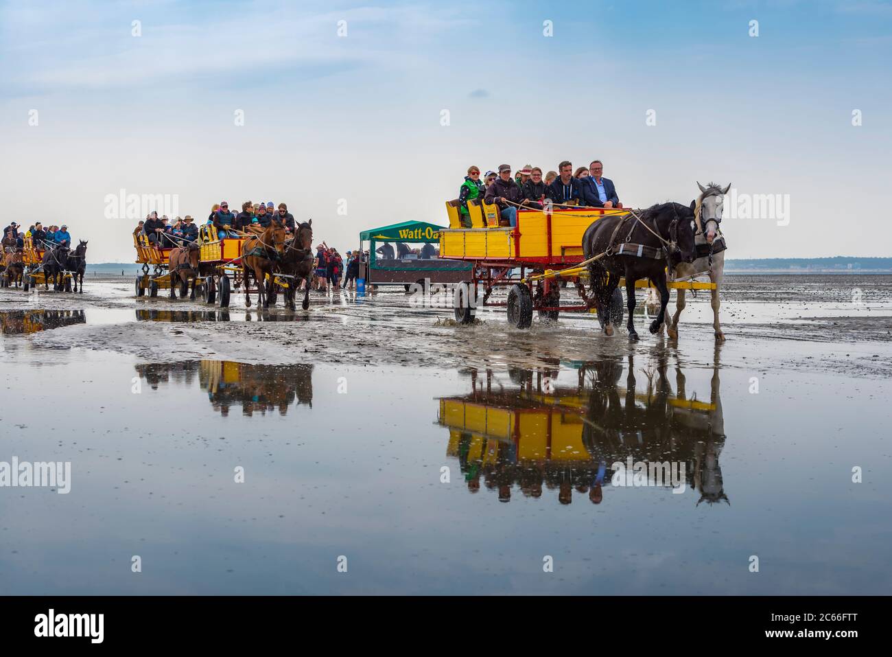 Germany, Lower Saxony, Cuxhaven, Neuwerk, Wadden Sea, tidal flat, horse-drawn carriages Stock Photo