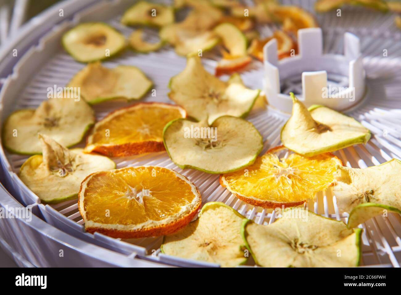 Apple and orange chips cooked in a dehydrator, closeup. The theme of
