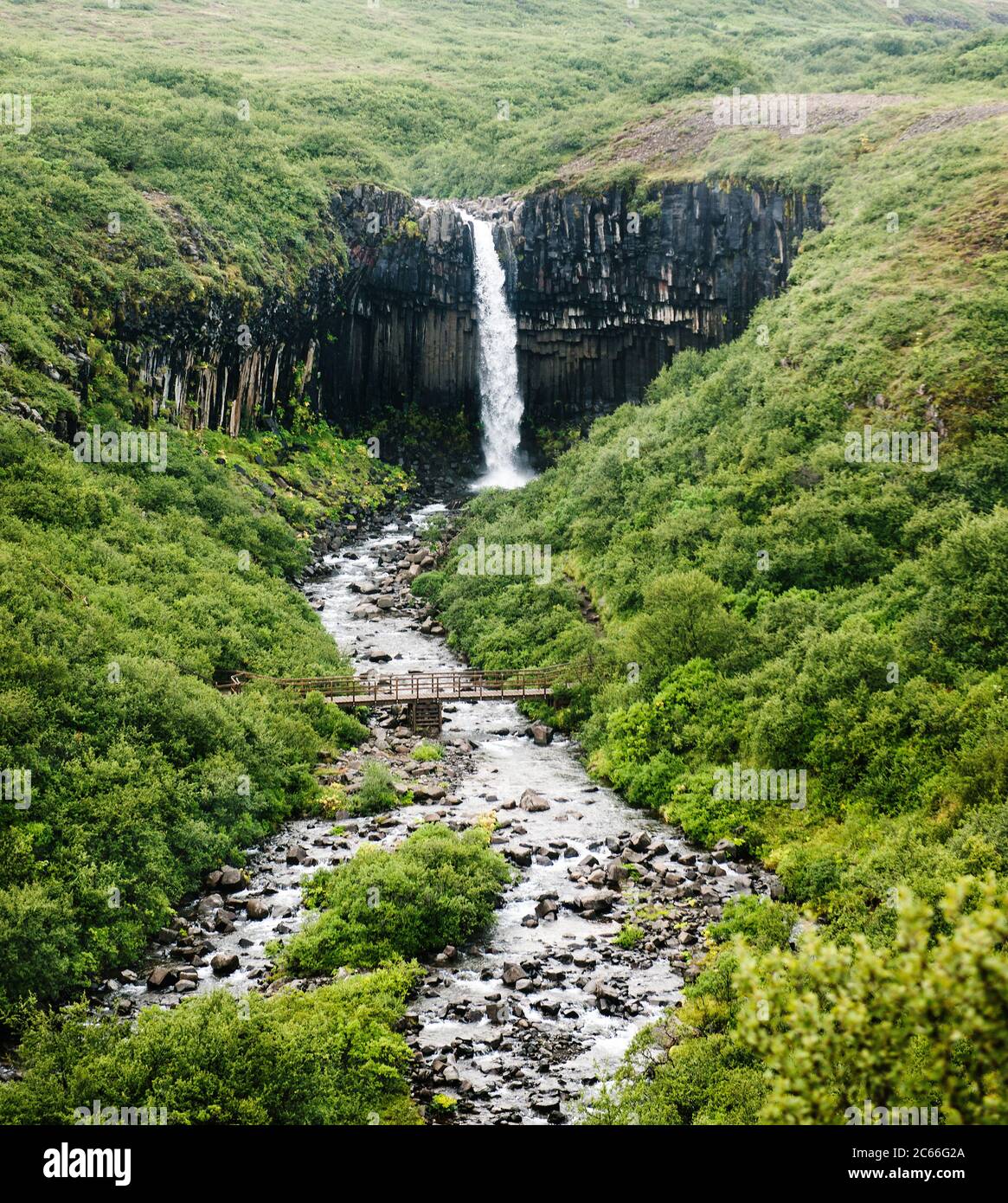 Svartifoss Waterfall in Skaftafell national park, Vatnajökull, Southeast Iceland, Scandinavia, Europe Stock Photo