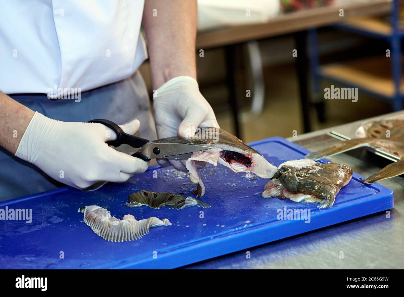 Filleting a plaice step-by-step, cutting off the fins Stock Photo