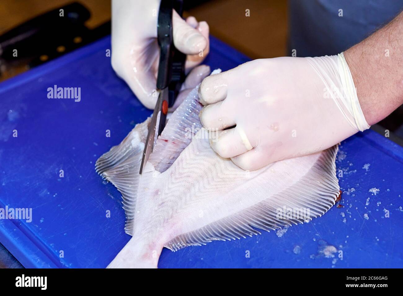 Filleting a plaice step-by-step, cutting off the fins Stock Photo