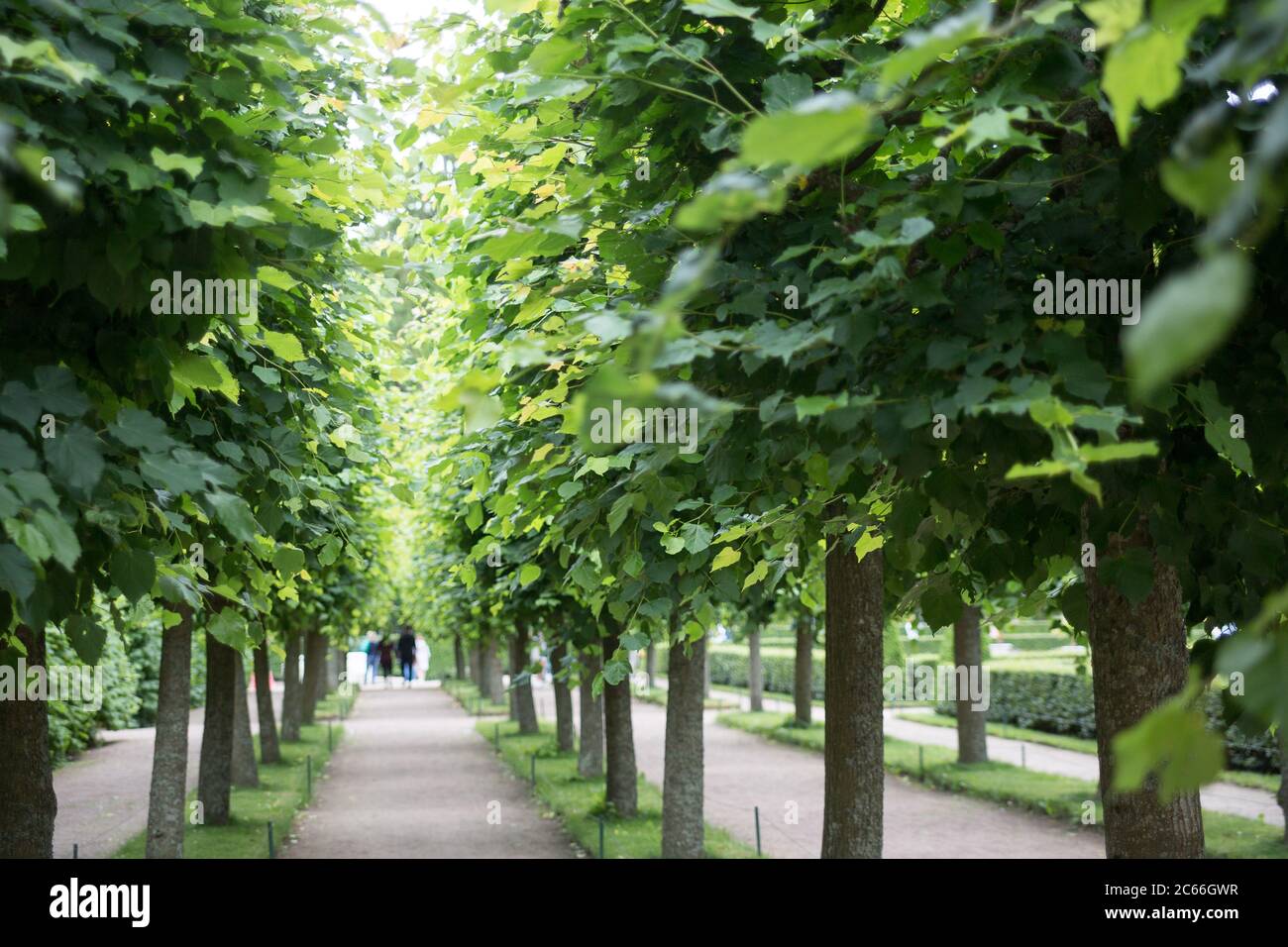 Green alley hi-res stock photography and images - Alamy