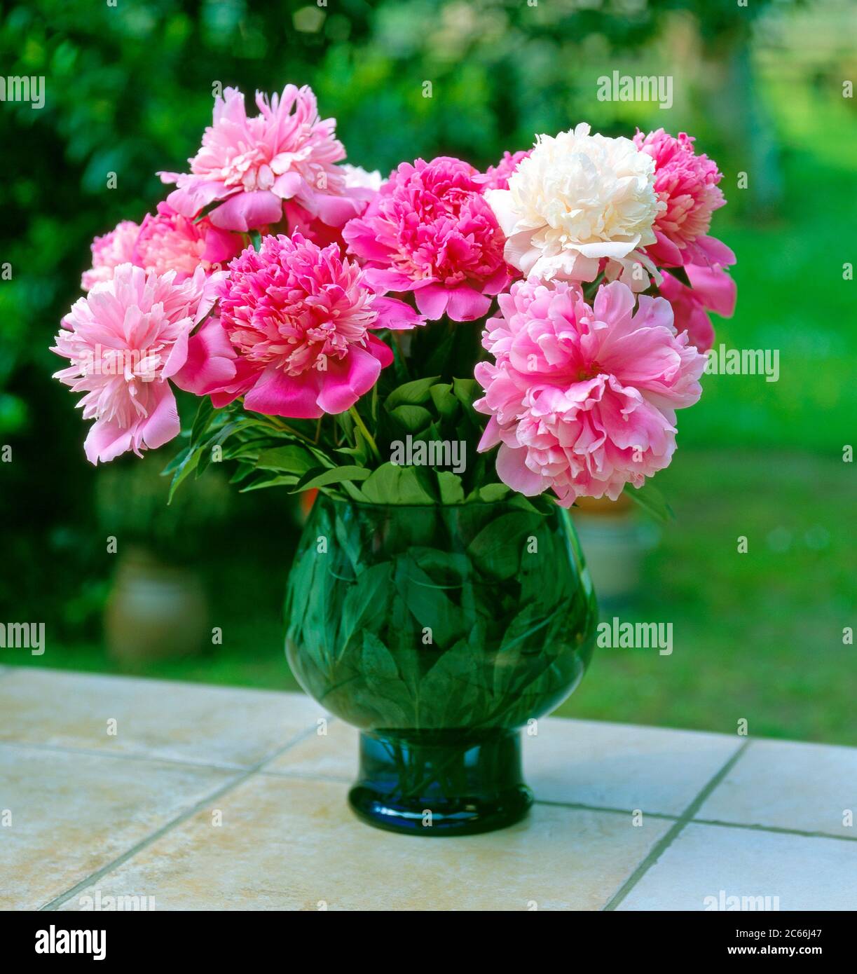 Bouquet of peonies on patio Stock Photo