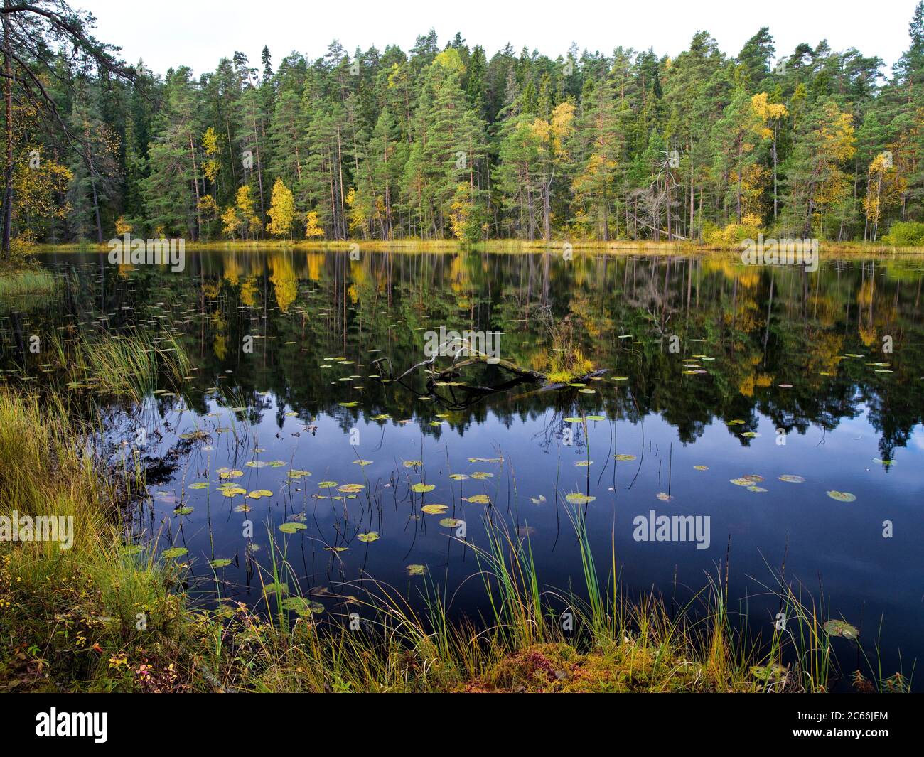 Smaland granite hires stock photography and images Alamy