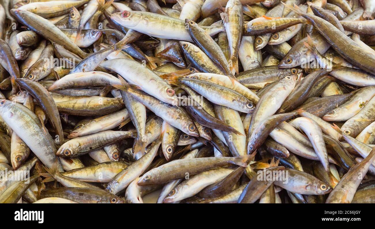 Fresh fish at the seafood market Stock Photo