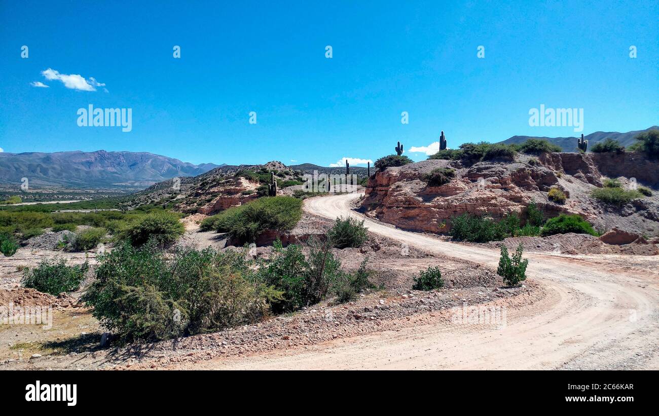 Road running through cactus desert, Argentina Stock Photo