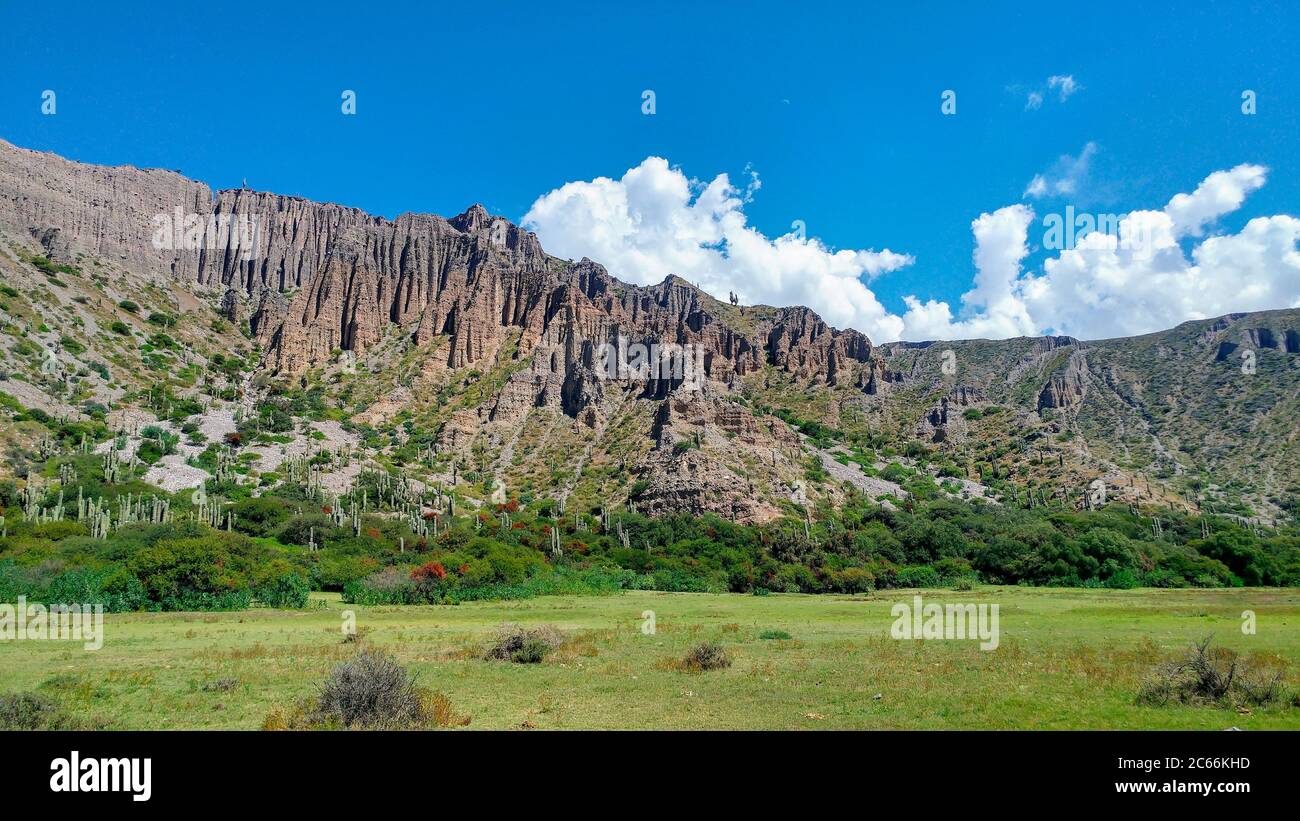 Green meadow with mountain in the background, Argentina Stock Photo