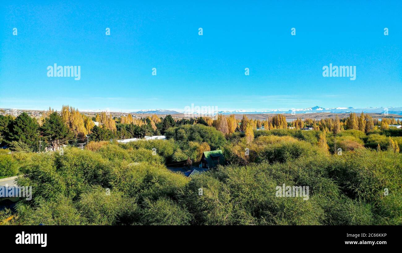 Green and yellow trees in the foreground and mountain landscape on the horizon, Argentina Stock Photo