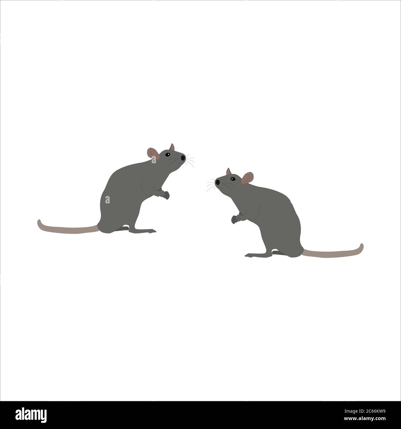 Plague of mice stock vector images alamy