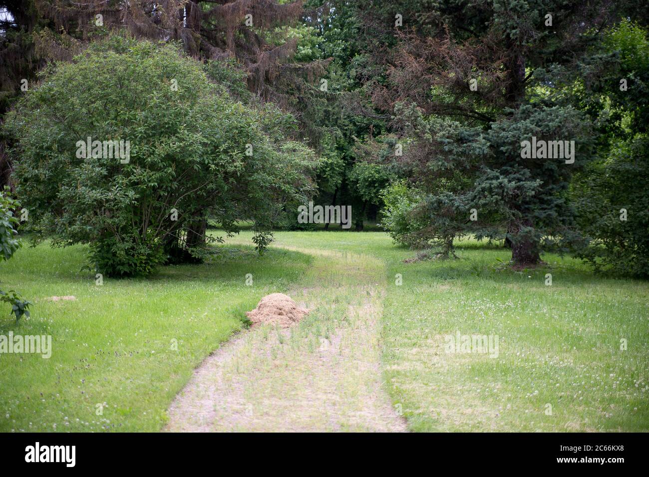 Green alley hi-res stock photography and images - Alamy