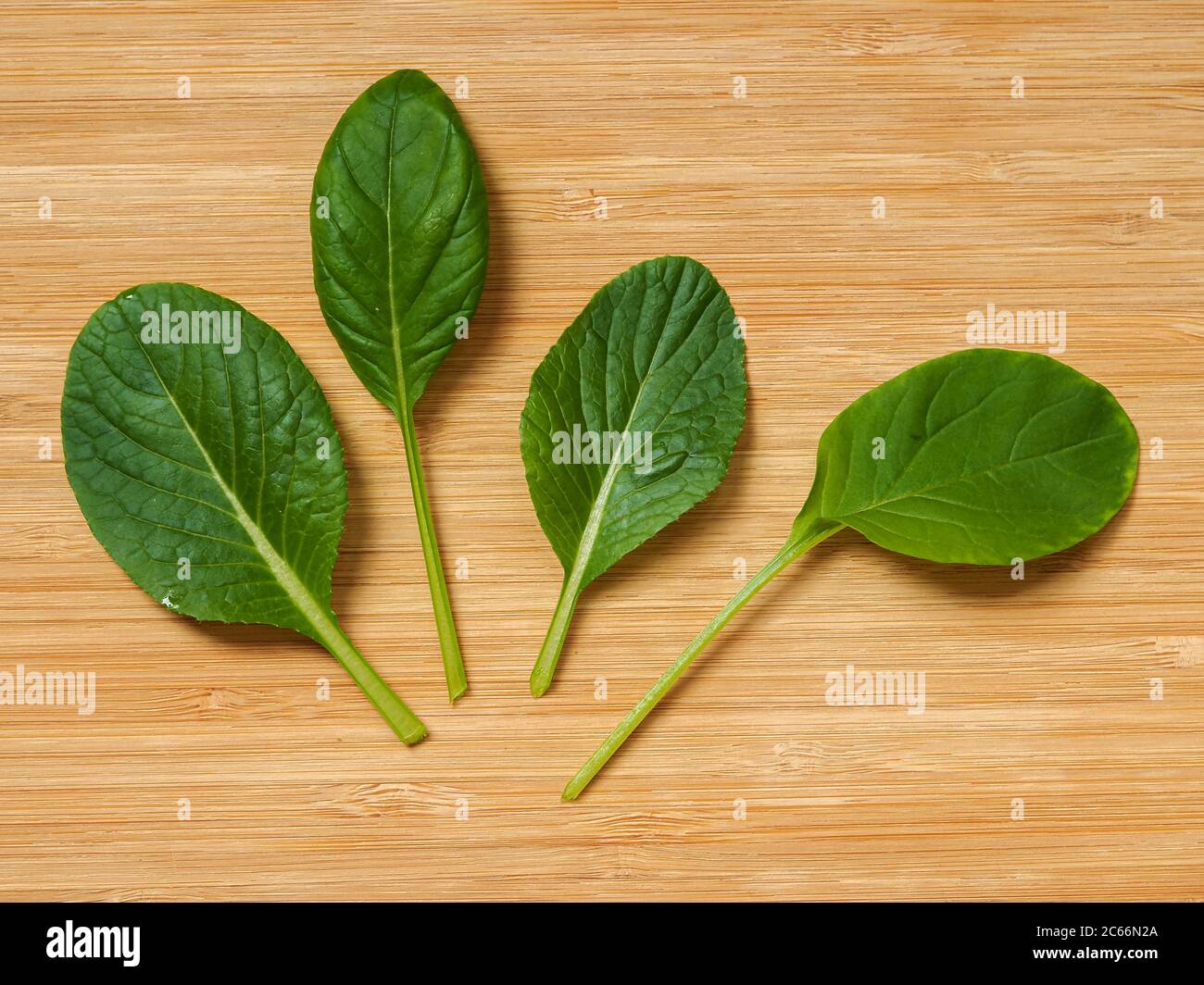 Four young green komatsuna Sharaku baby leaves laid on a wooden chopping board Stock Photo